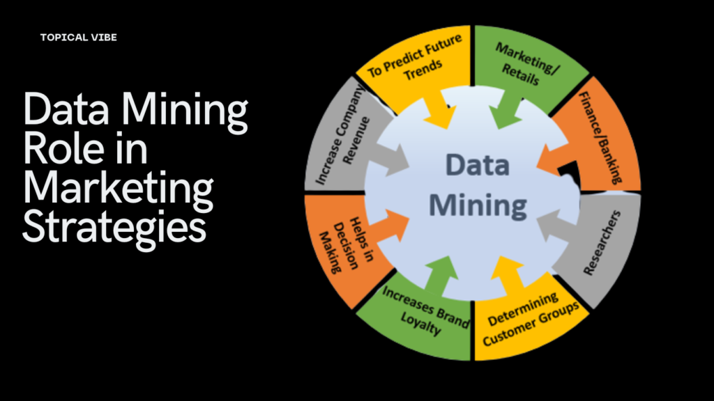 Data Mining’s Role in Marketing Strategies